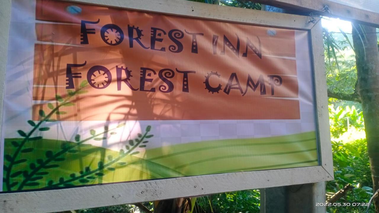 Forest Inn Ель-Нідо Екстер'єр фото