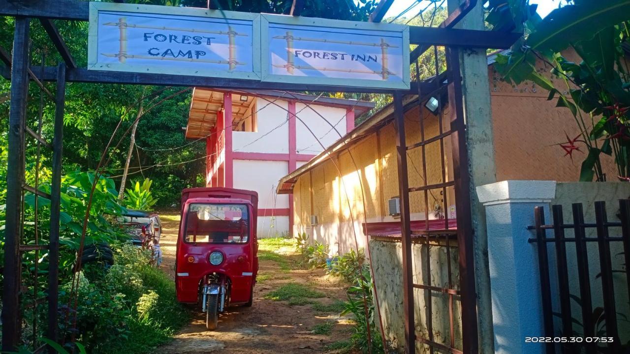 Forest Inn Ель-Нідо Екстер'єр фото